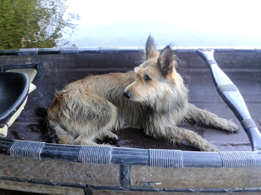 Max im Boot  4a