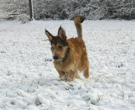 Max im Schnee - 2