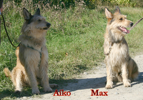 Max und Aiko2a